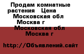 Продам комнатные растения › Цена ­ 100 - Московская обл., Москва г.  »    . Московская обл.,Москва г.